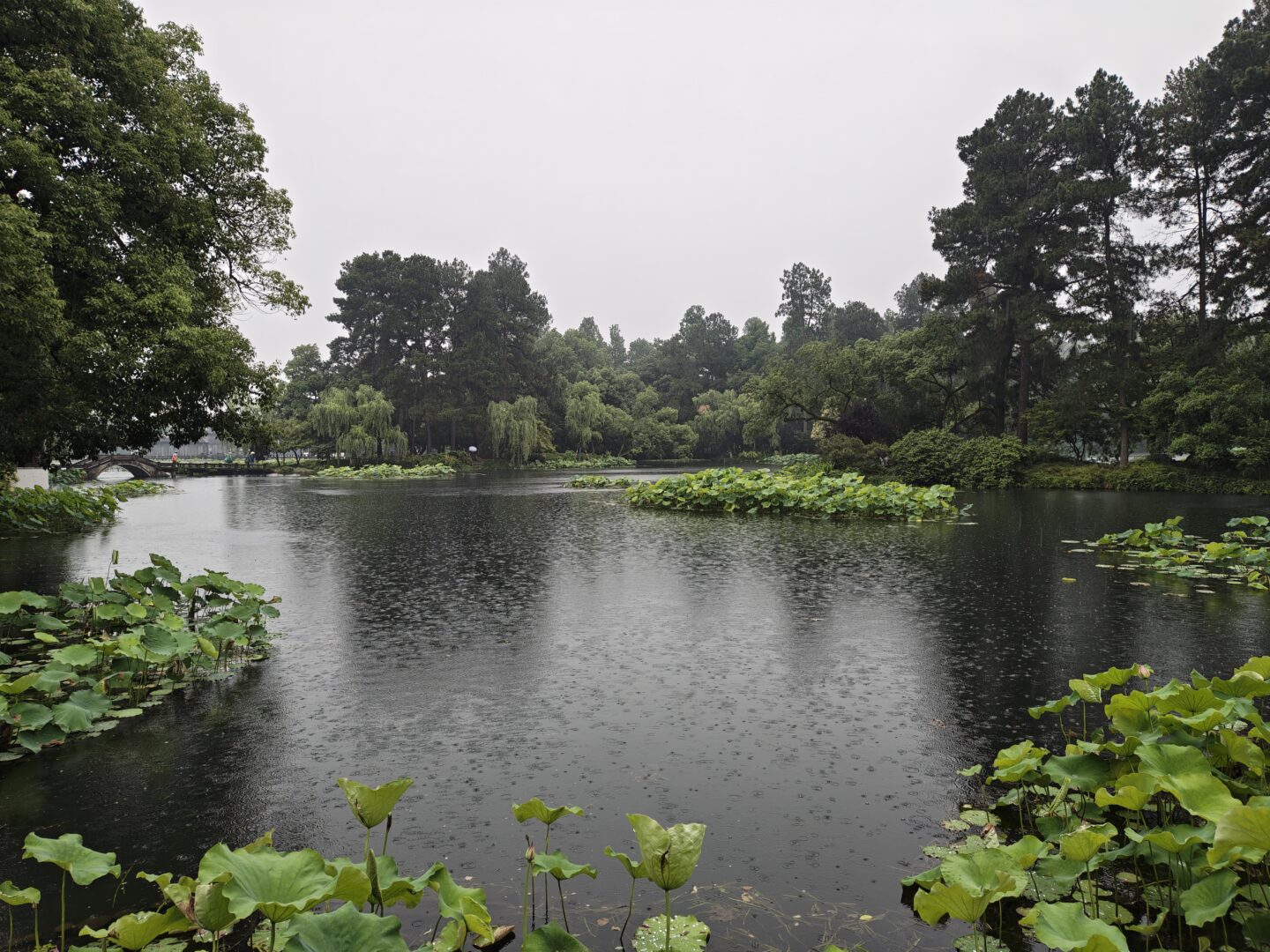 IMG 20260603 143658415 HDR