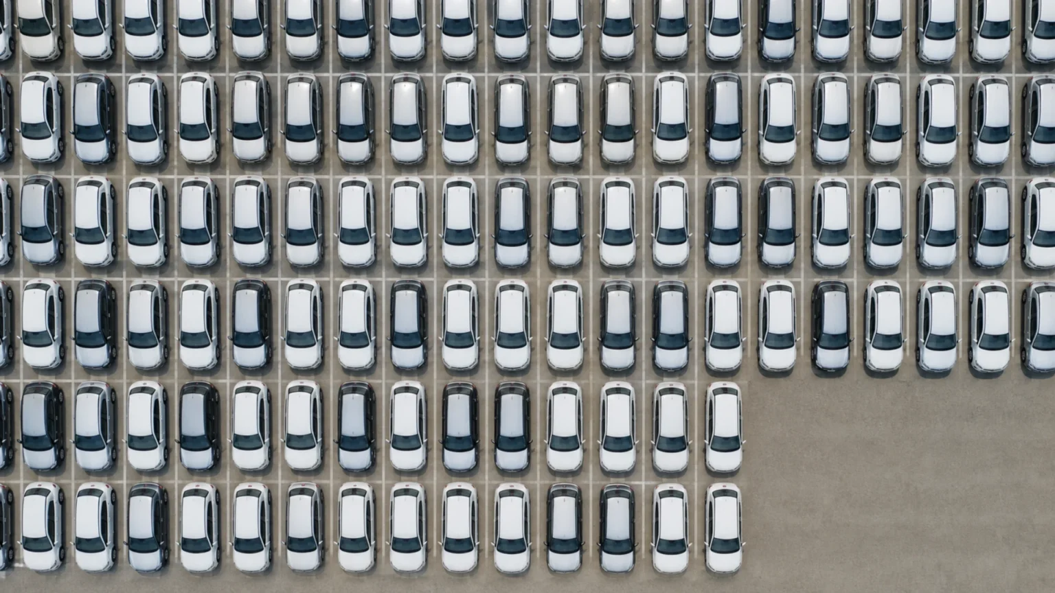 noleggio sociale quante auto