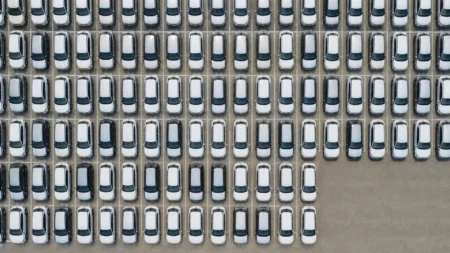 noleggio sociale quante auto