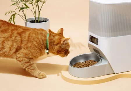 Hai un gatto? Questa lettiera autopulente è molto più utile di quanto pensi